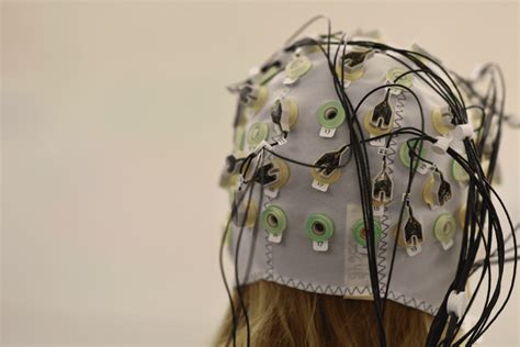 Eeg Vs Mri Vs Fmri What Are The Differences Imotions