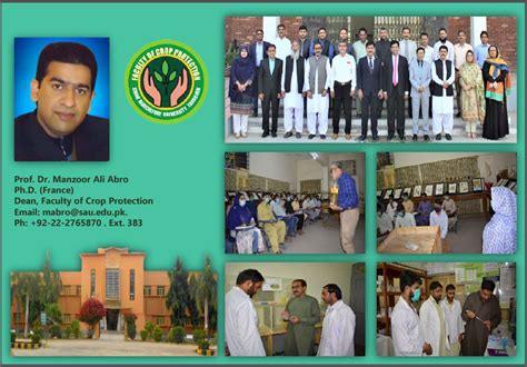 Faculty Of Crop Protection Sindh Agriculture University Tandojam