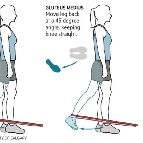 Gluteus Medius - Exercise How-to - Workout Trainer by Skimble