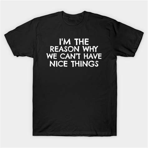 Im The Reason Why We Cant Have Nice Things Im The Reason T Shirt