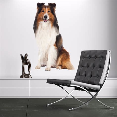 Collie Dog Pet Wall Sticker