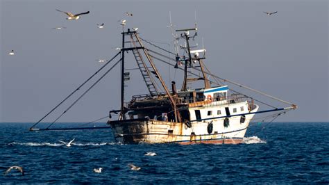 LA PESCA A STRASCICO NELLE AREE MARINE PROTETTE MedReAct