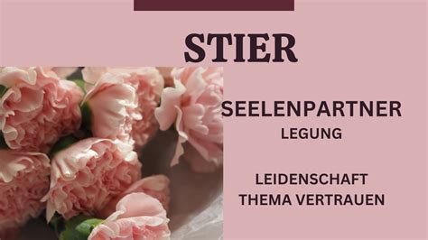 STIER TAROT SEELENPARTNER LEGUNG LEIDENSCHAFT UND DAS THEMA VERTRAUEN