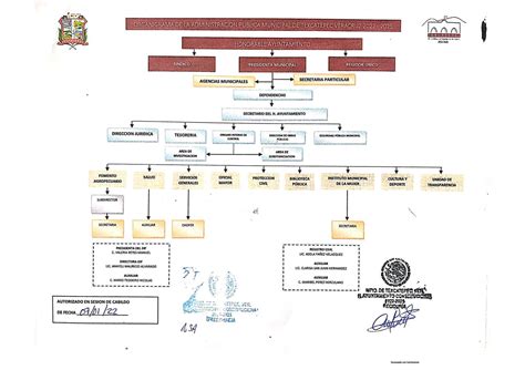 Organigrama Municipal Texcatepec Veracruz