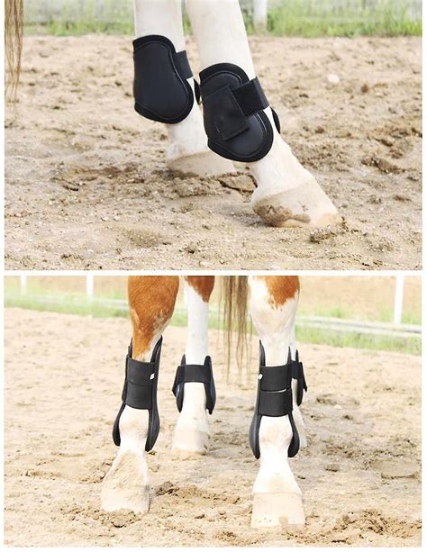 Tendon De Cheval Et Bottes Fetlock Équestre Sports Jumping Leg