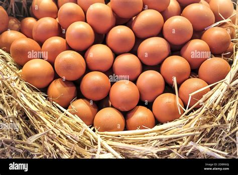 Display of chicken eggs hi-res stock photography and images - Alamy