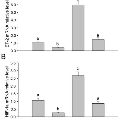 Effects Of Hcg And Fas On Et Mrna And Hif Mrna Expression In Gcs