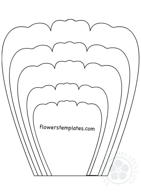 Free Petal Template 20 Flower Petal Templates Pdf Vector Eps Free