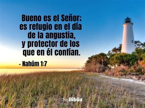 31 Versículos Para Mejorar Tu Día Hoy Biblia