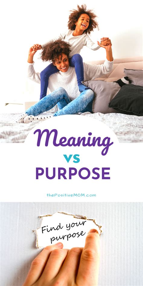 Meaning Vs Purpose How Are They Different