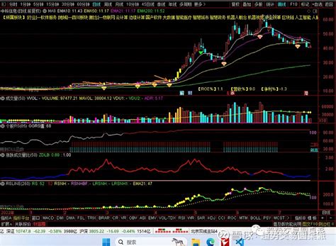 中科信息 强势板块中的强势个股：rs99牛股模板书（21） 中科信息 日线图中科信息 2022年12月28日到2023年6月19日共上涨491 大叔解读：基本面情况： 中科信息 的