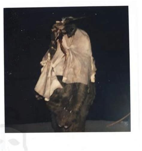 Star Wars Polaroids And Art On Instagram Paploo The Ewok Played By