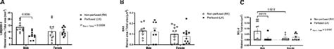 Sex Differences In The Protein Expression Of Caspase 3 A Bax B And