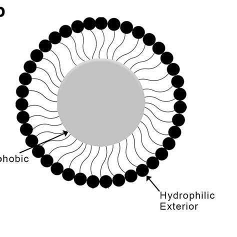 Lipid Based Nanocarriers A Liposome B Micelle C Polymersomes Created