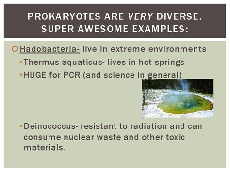 CELLS Prokaryotes and Eukaryotes THREE DOMAINS OF LIFE