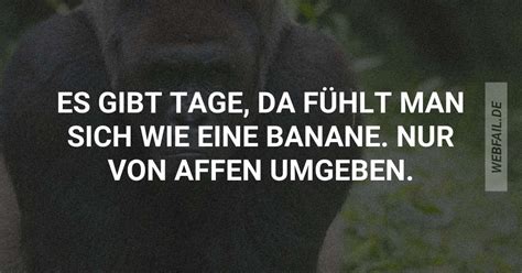 Jeden Tag im Büro Webfail Fail Bilder und Fail Videos