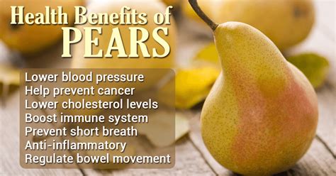 Organically Pure The Health Benefits Of Pears