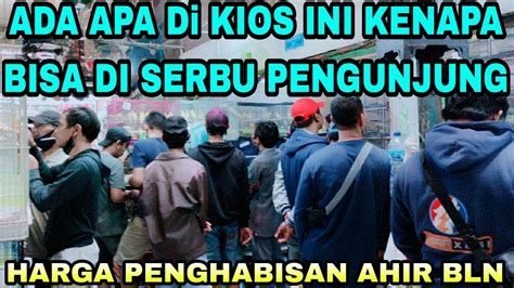 Harga Penghabisan Ahir Bln Thn Burung Di Jual Murah Kios Skj Pasar