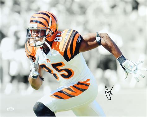 Chad 'Ochocinco' Johnson Signed Bengals 16x20 Photo (JSA) | Pristine ...