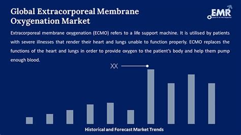 Extracorporeal Membrane Oxygenation Market Size