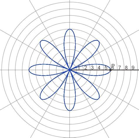 Graphs Of Polar Equations Geometric Drawing Math Art Math Projects