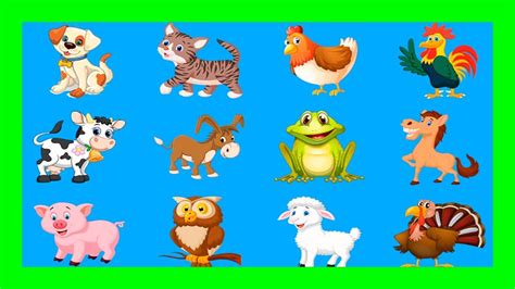 🔵 Aprender A Identificar Los Animales 🔵 Videos Infantiles Y Para Bebes