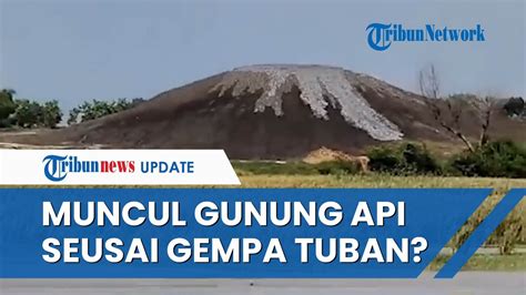 Viral Kemunculan Gundukan Diduga Gunung Api Baru Seusai Gempa Tuban