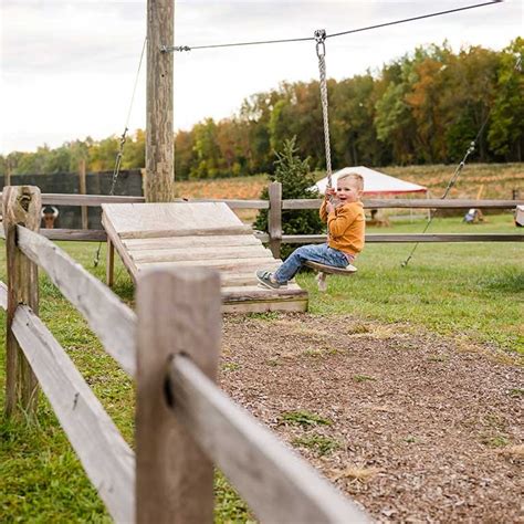 The Fall Pumpkin Harvest At Dulls Tree Farm In Thorntown In