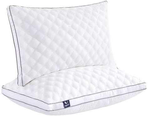 Queen Pillows for Sleeping 2 Pack - Desi Shopper