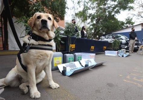 Pdi Chile On Twitter La Investigación A Cargo De La Brigada