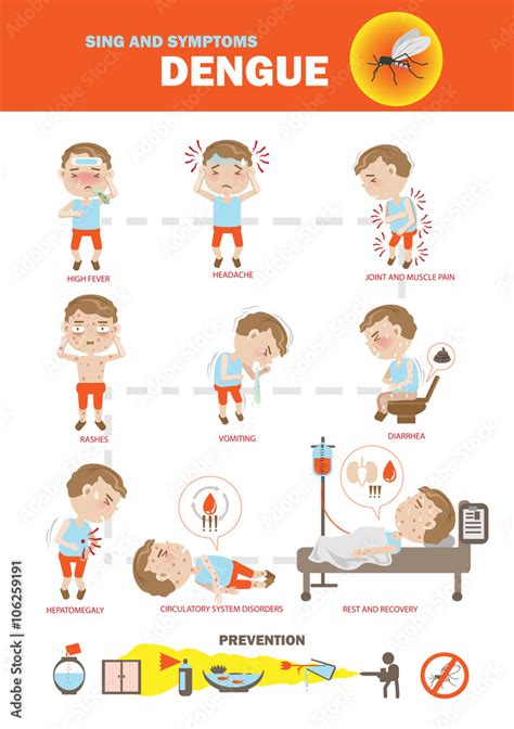 Dengue fever symptoms info graphics and icon prevention. vector ...