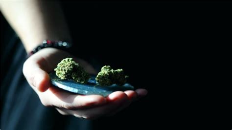 13 Potential Health Benefits of Weed You Should Know - Ttactics