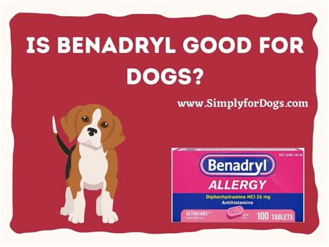 Is Benadryl Good For Dogs Pros And Cons Simply For Dogs