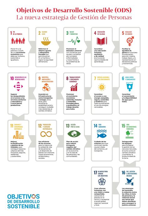 17 Objetivos De Desarrollo Sostenible ODS Objetivos De Desarrollo