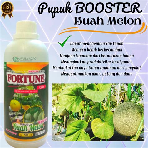 Jual Pupuk Melon Masa Vegetatif BOOSTER MELON Agar Manis Pupuk Buah