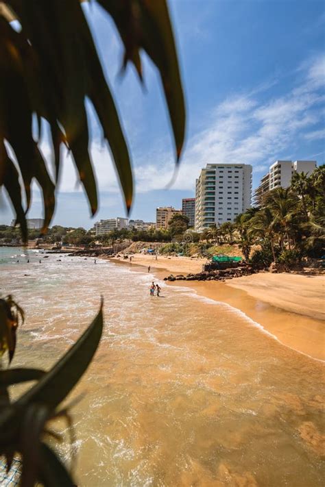 A beach in Dakar, Africa stock image. Image of palm - 163893395