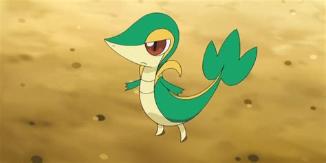 Pokémon The 10 Best First Form Grass Types