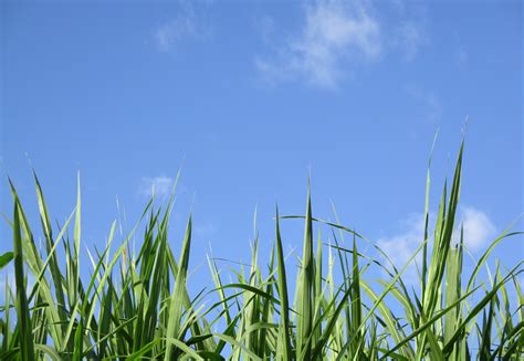 About Us - Field Pros - CRM designed for contractors by contractors