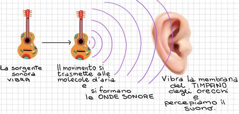 Fare Scienze In Quinta Funzione E Struttura Degli Organi Di Senso