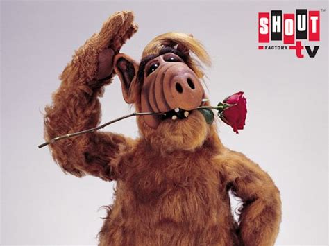 Alf Tv The Official Unofficial Alf Fan Site