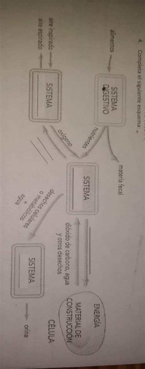 4 Completa el siguiente esquema por favor es para mañana a la mañana