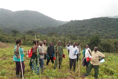 Responding To Human Wildlife Conflict Nkuringo Buffer Zone Management Plan Is On Board Again