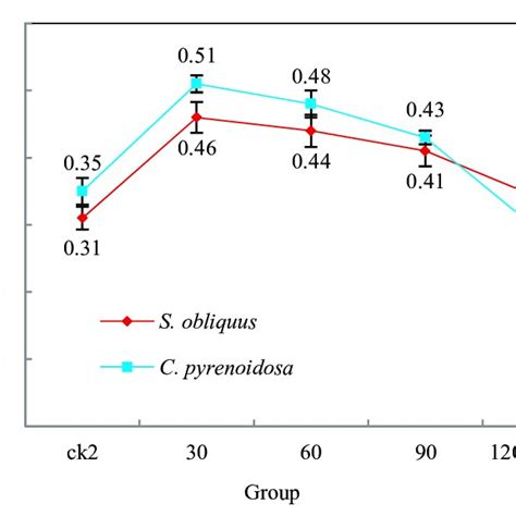 Effects Of Salicylic Acid On The Chlorophyll Fluorescence Parameters Of