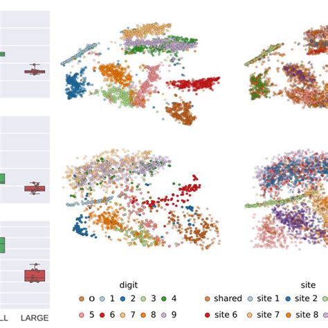 Experiment For QC Metrics Of The ABIDE Dataset A The TSNE Layout Of