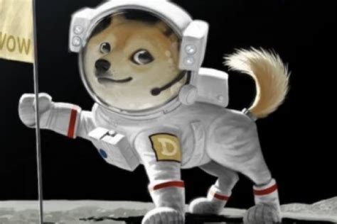 Elon Musk's Tweet About Dogecoin Sends Price Up 10% In 30 Minutes Again