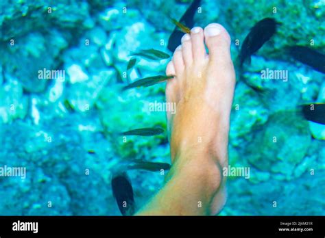 Fish Spa Pedicure Fish Bite Feet In The Amazing Blue Turquoise Water