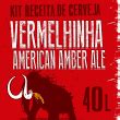 Kit Receita De Cerveja American Amber Ale Vermelhinha L Lamas