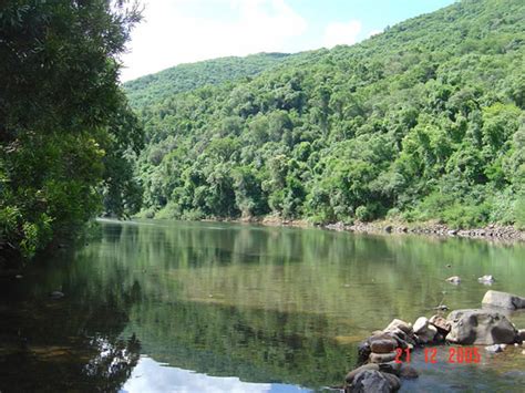 Rio Turvo Ache Tudo E Regi O