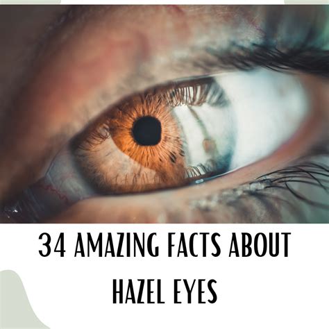 How Rare Are Hazel Eyes? 34 Facts and Superstitions about the Hazel Eye Color | by ZephyrSpark ...