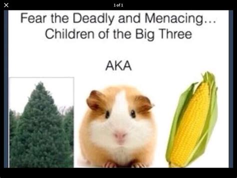 A Tree A Guinea Pig And Corn Fear Us We Will Defeat Kronos And